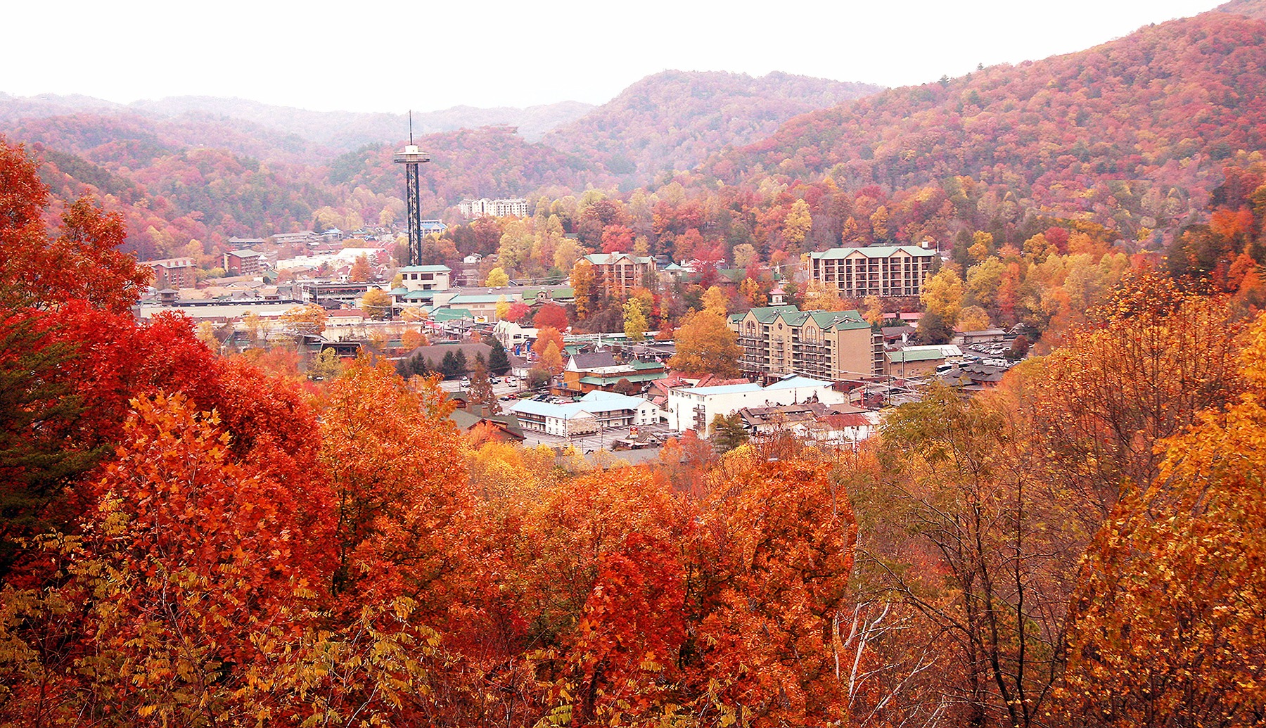 SMOKY MOUNTAIN HARVEST FESTIVAL: The Sights of Fall Paired with Events